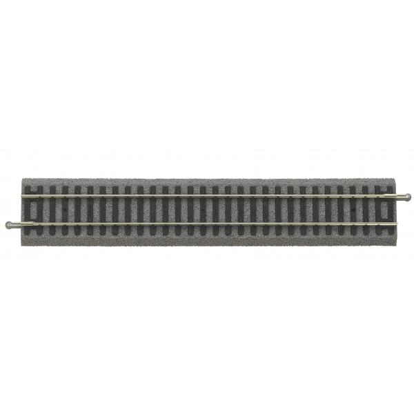 55401 路基軌 直軌 231 mm