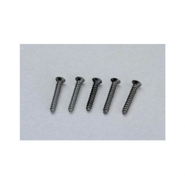55487 路基螺絲(50pcs)