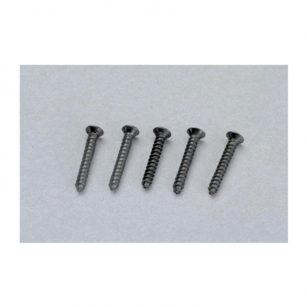 55488 路基螺絲(400pcs)
